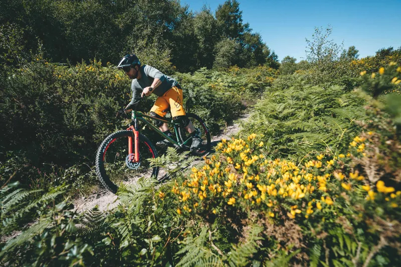 Merida Big Trail Long Travel Hardtail Bikes